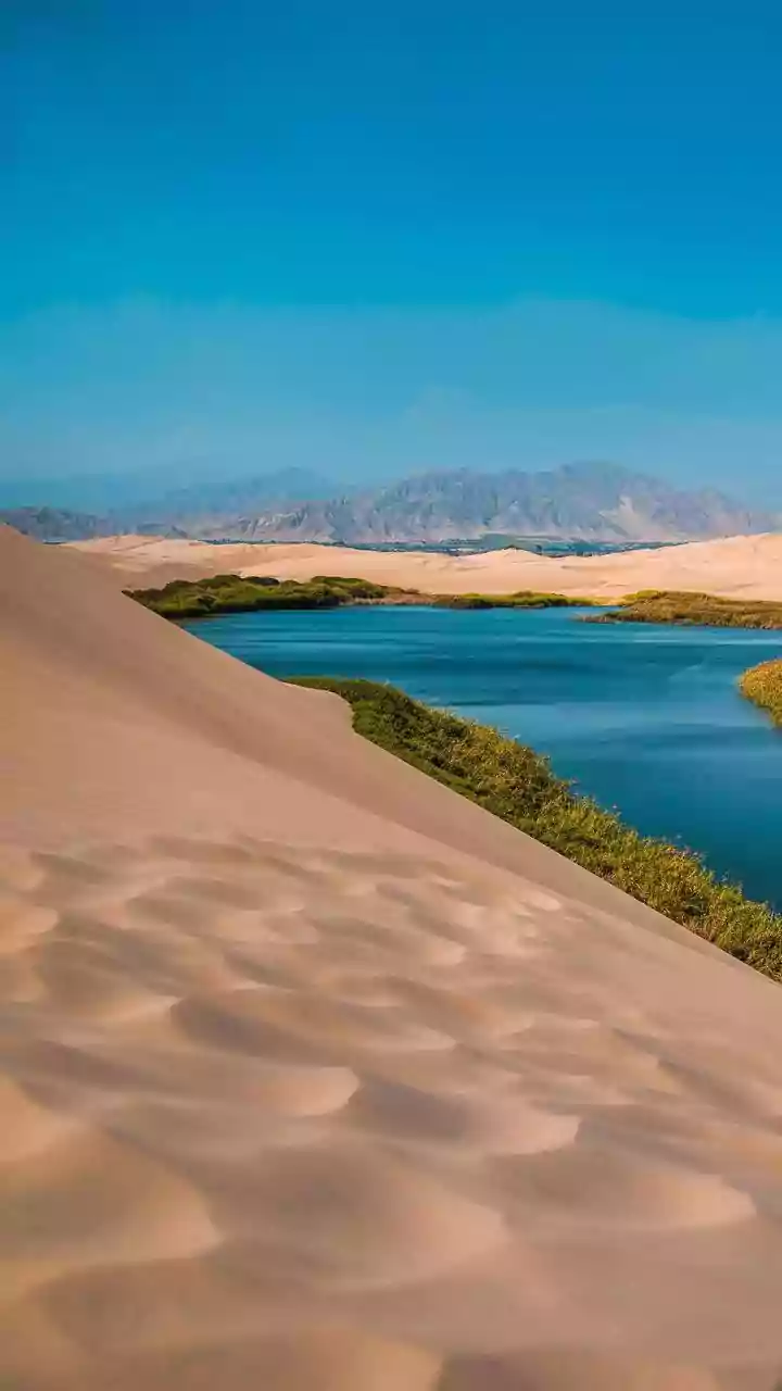 The Qatar Desert-To-Sea Day Trip Presents A Short-Trip Approach To Exploring Qatar