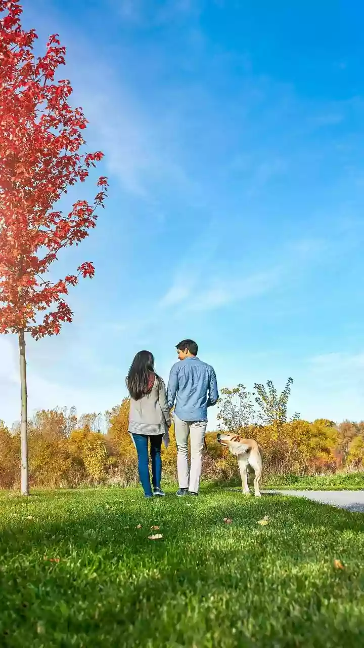 How Consistent Routines Saved Millennial Couples From Extreme Pet Stress