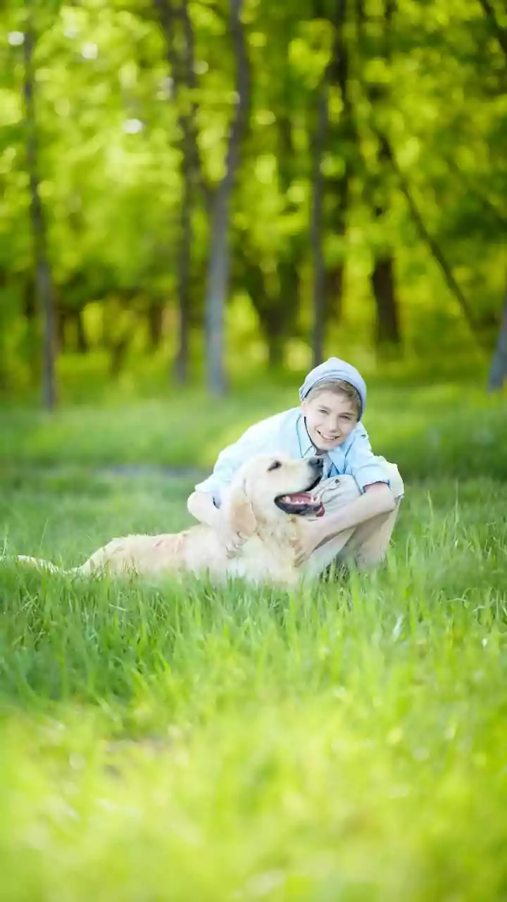 The Perfect Pet for Every Age: Cultivating Responsibility and Empathy in Children