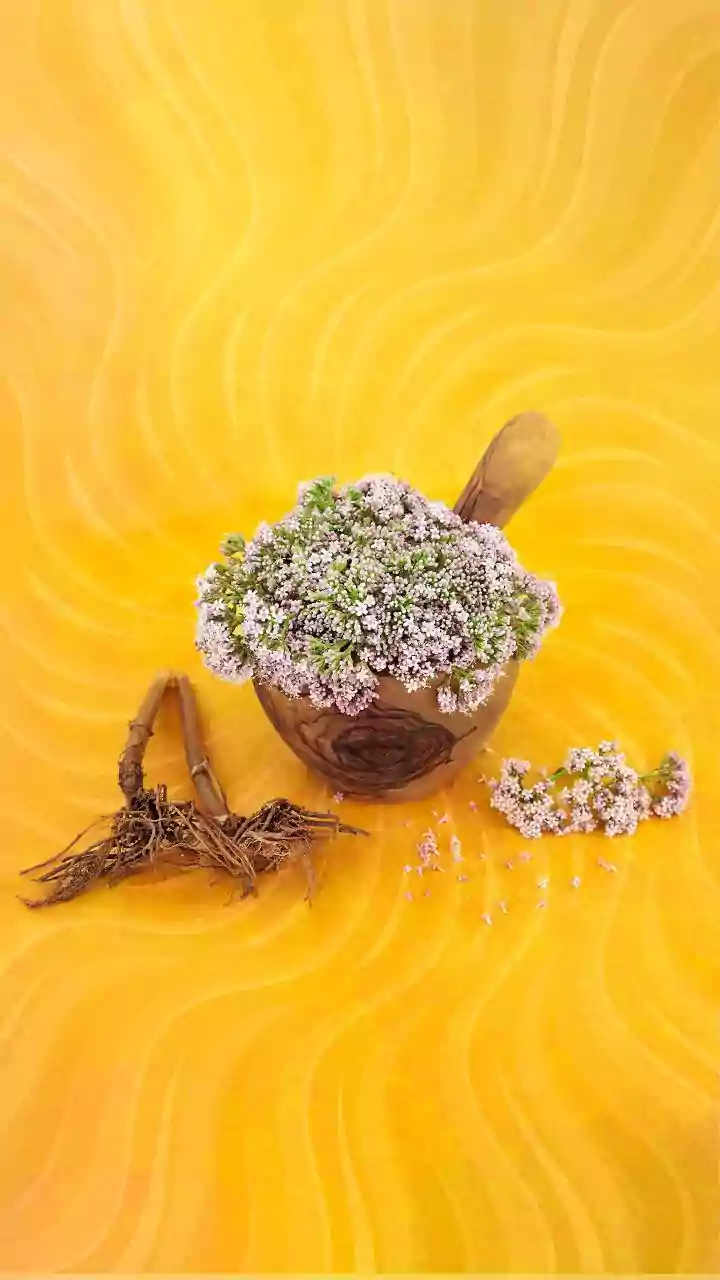 Kerala Artisans Hand-Polish Racing Snake Boats With Herbal Oils In Age-Old Restoration Ceremonies