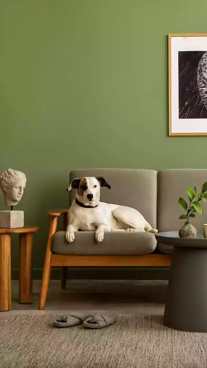 Decoding the Mysteries of Pet Parenting: A Modern Indian Guide