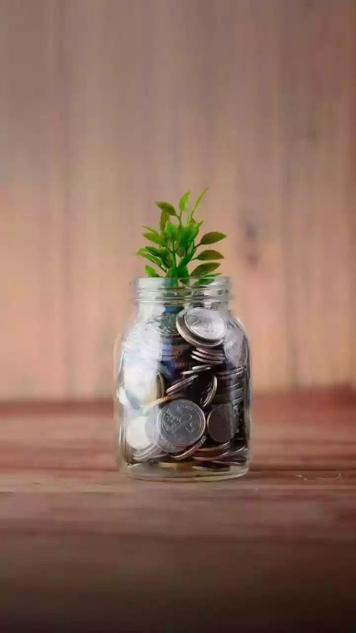 Decoding Investment: Navigating Indian Markets Wisely