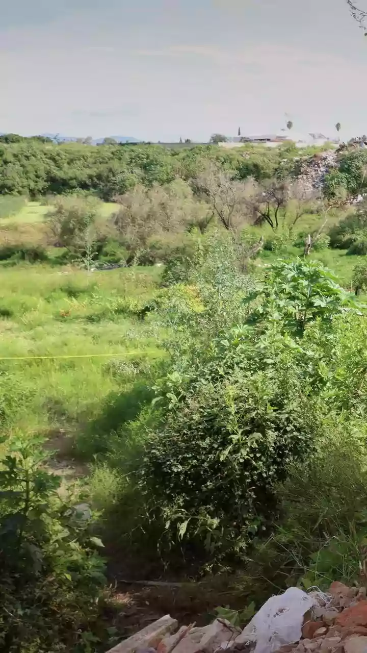 Four arrested for attempted encroachment of 'karbala' land in UP's Pratapgarh