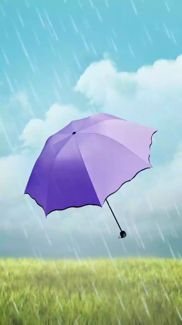 Heavy Rain Alert in Jharkhand's 16 Districts