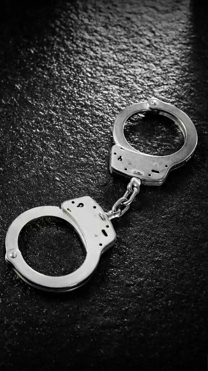 Armed Robbers Loot Assam Businessman's House; Wife, Driver Threatened With Knives And Guns