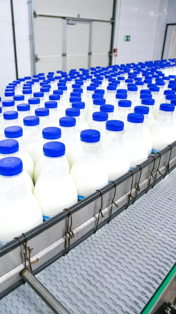 India’s first camel milk processing plant procures 4,754 litres daily in 2024-25