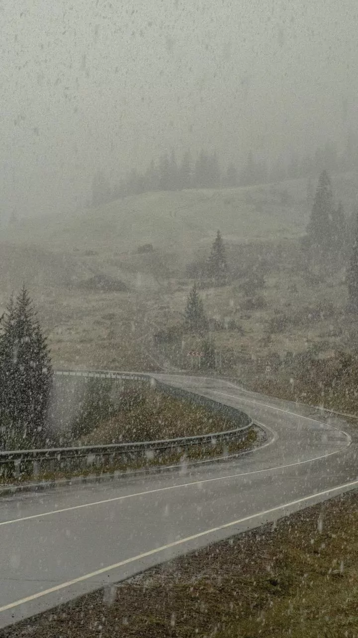 Why Departure Timing Matters During Heavy-Rain Road Trips