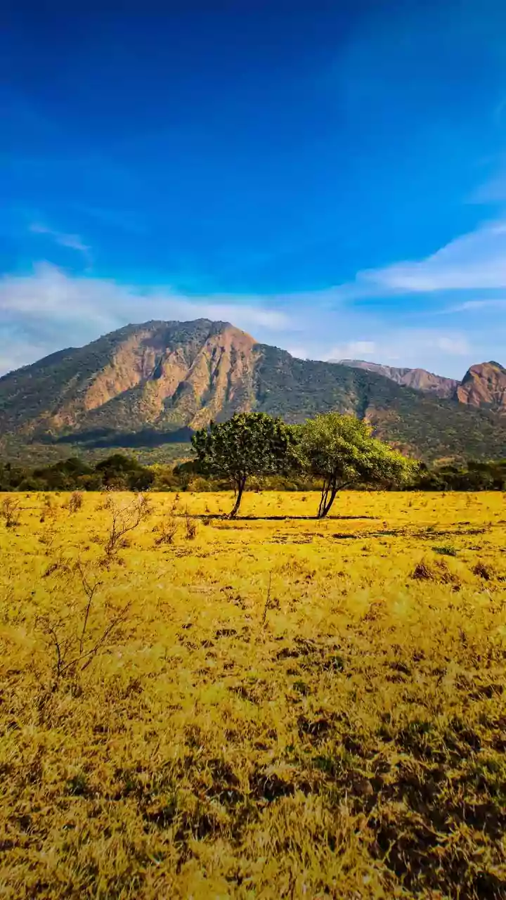 Interested in horseback archery? Here are the top spots