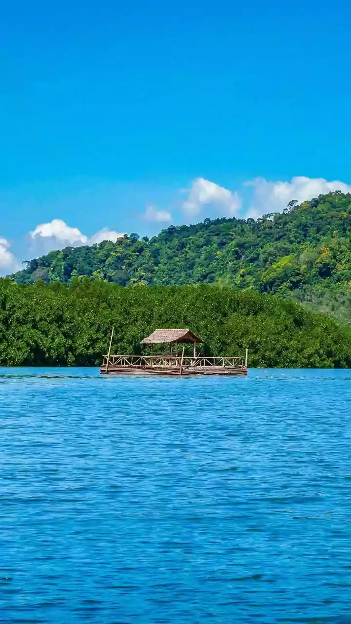 Wayanad Post-Monsoon Travel: Budget Homestays And Bamboo Rafting For Bengaluru And Kochi Weekendere