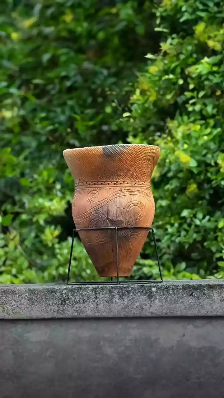 Creative ways to reuse broken pots in your garden