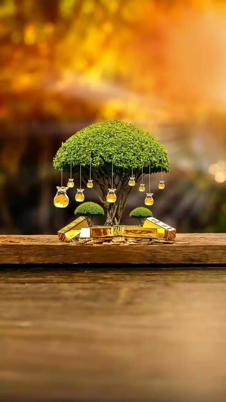 Decoding the Top Performing Index Funds: A Guide