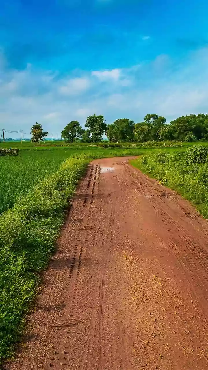 Top naxal commander among six Maoists killed in Andhra Pradesh encounter