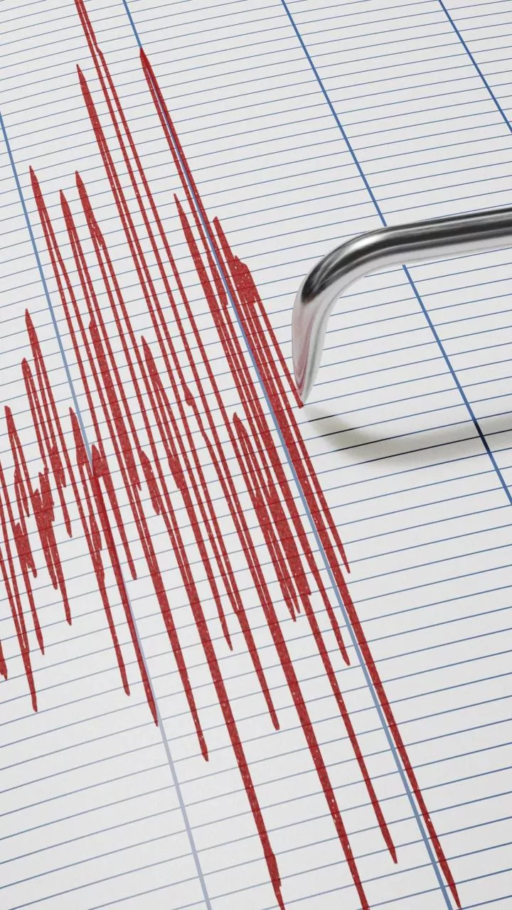 Understanding Earthquakes: Causes, Effects, and Preparedness