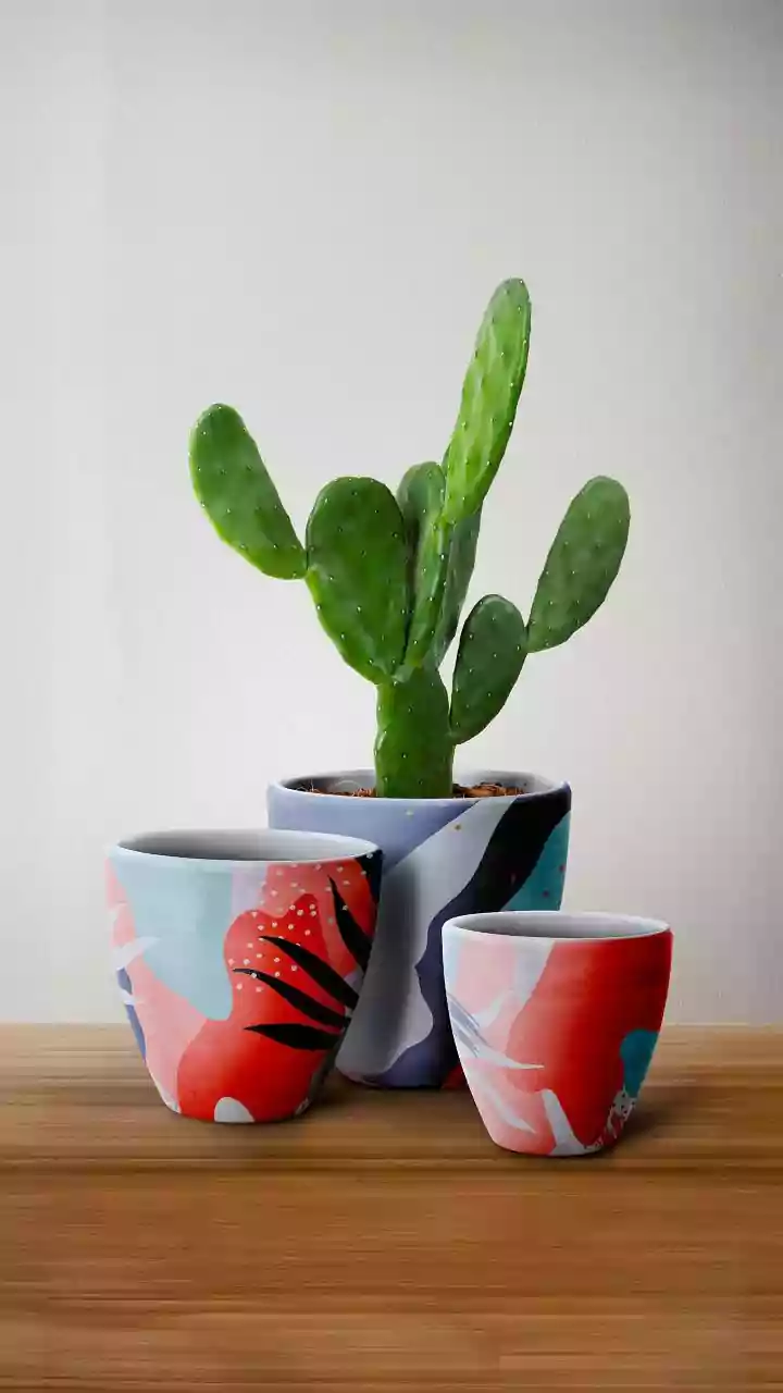 Prickly Pear Can Make Breakfast Bowls Pop
