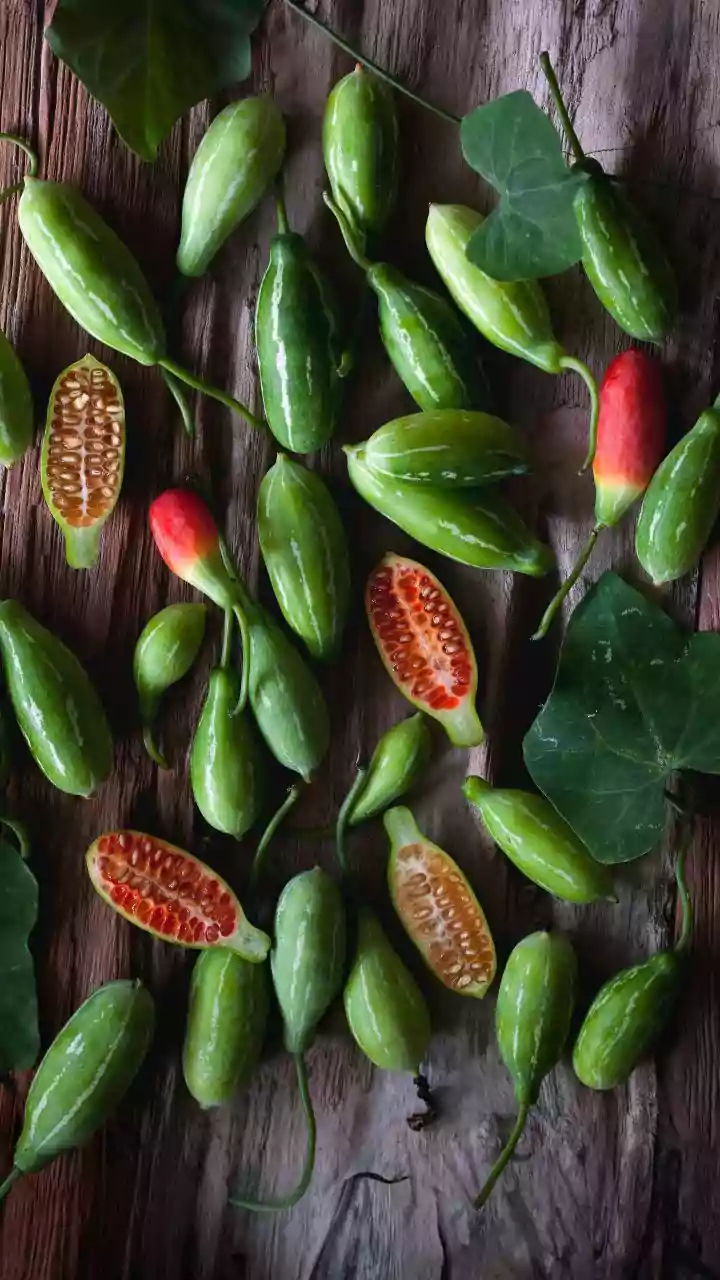 48 Years of Passion: A Plant Breeder's Remarkable Journey with Gourds