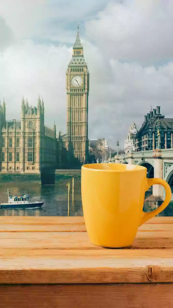What Travellers Should Know About UKVI Account Access After Britain's Full eVisa Shift For Indians