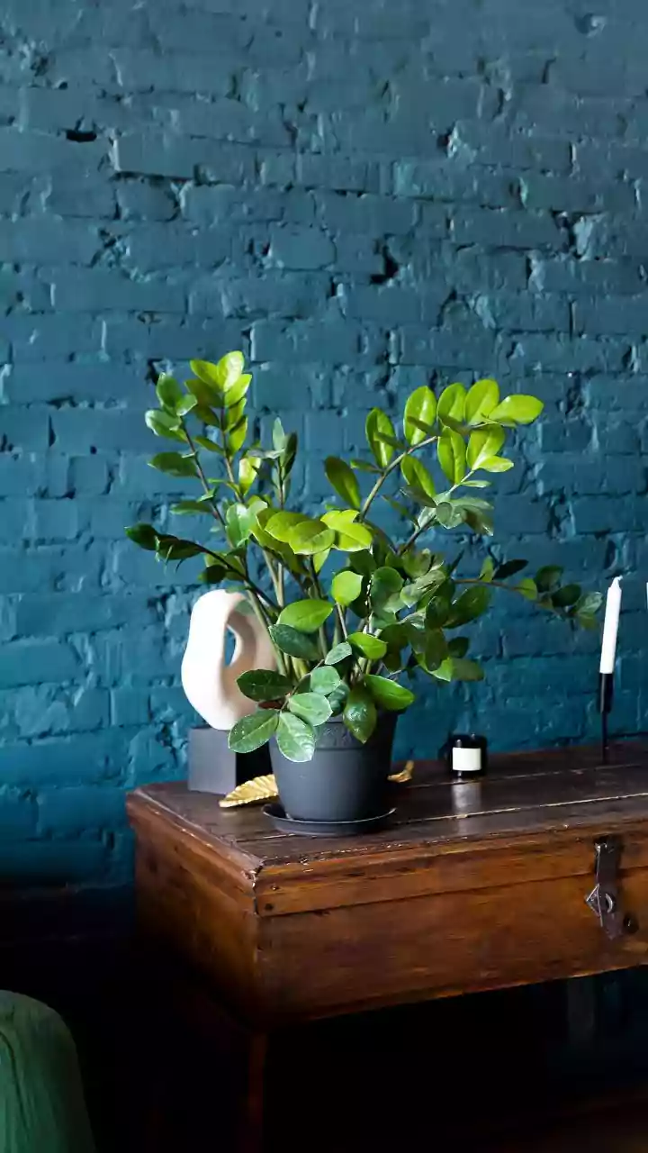 A Closer Look at Living with a Room Before Buying in the 2026 Slow-Decorating Trend