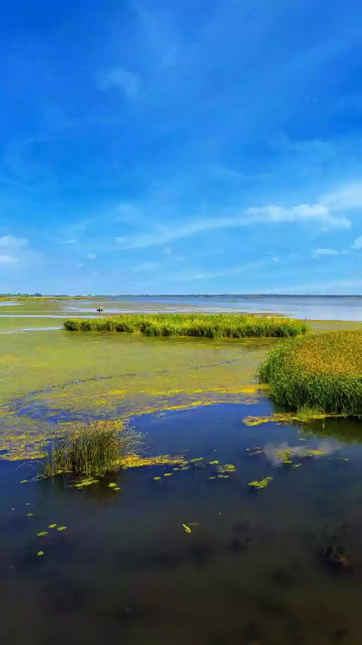 Rajasthan's Current Monsoon Travel Surge Strengthens The Case For Wetland Breaks In Familiar Dry Landscapes