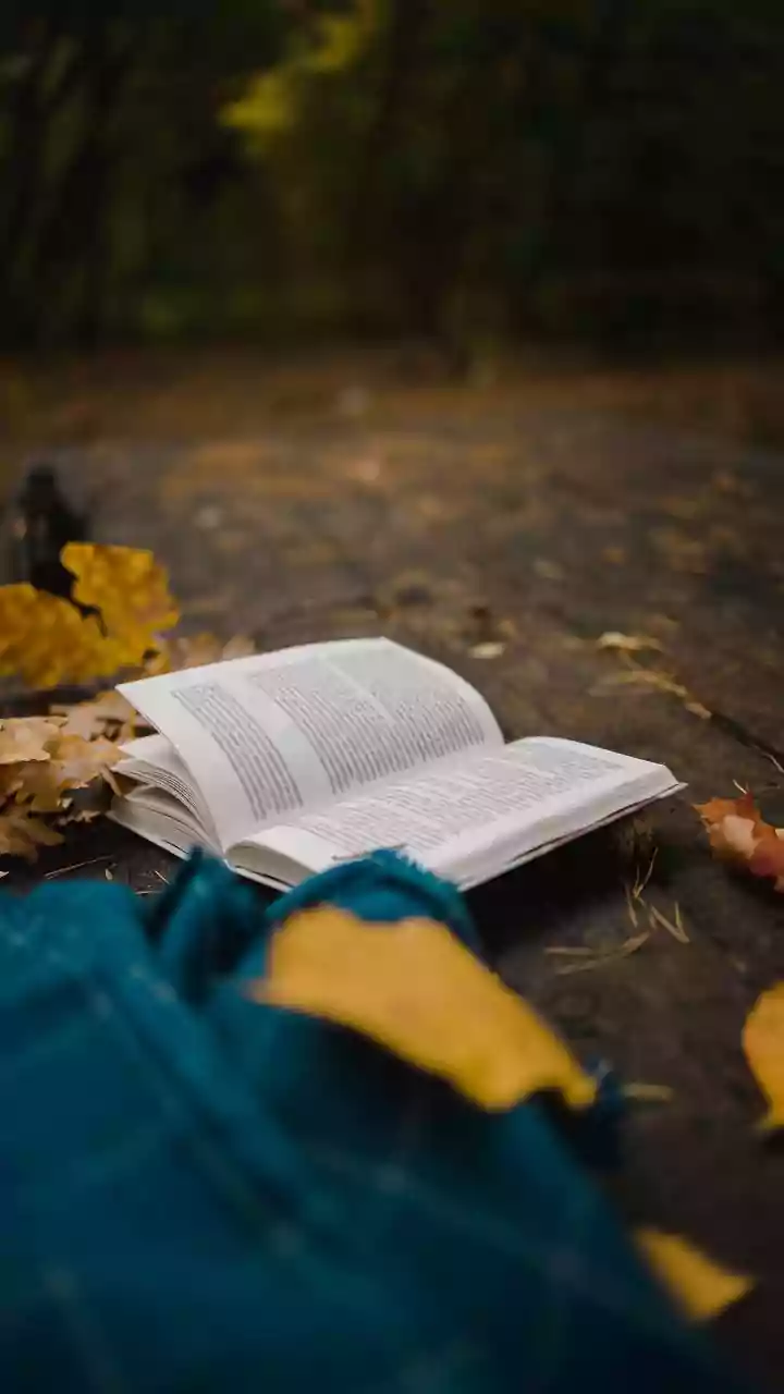 Understanding Puja Digests Through A Golden-Age Bengali Publishing Tradition
