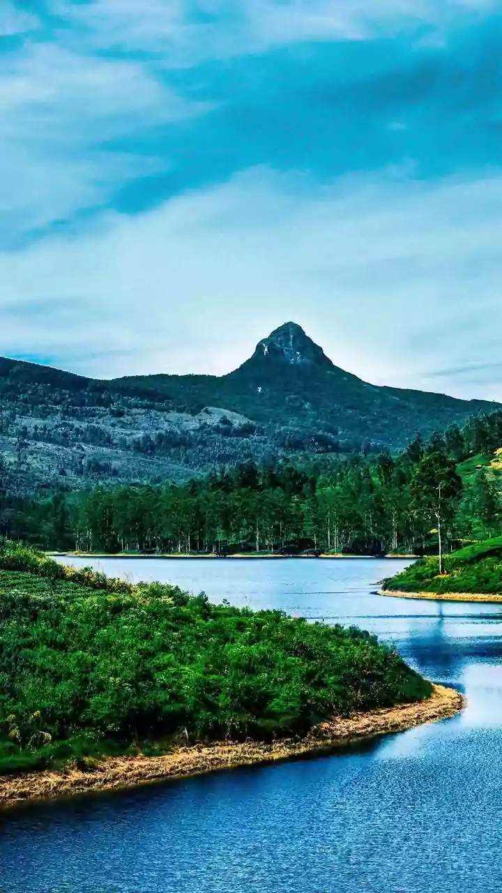 Narayana Guru's philosophy challenges majoritarianism, inequality: Siddaramaiah