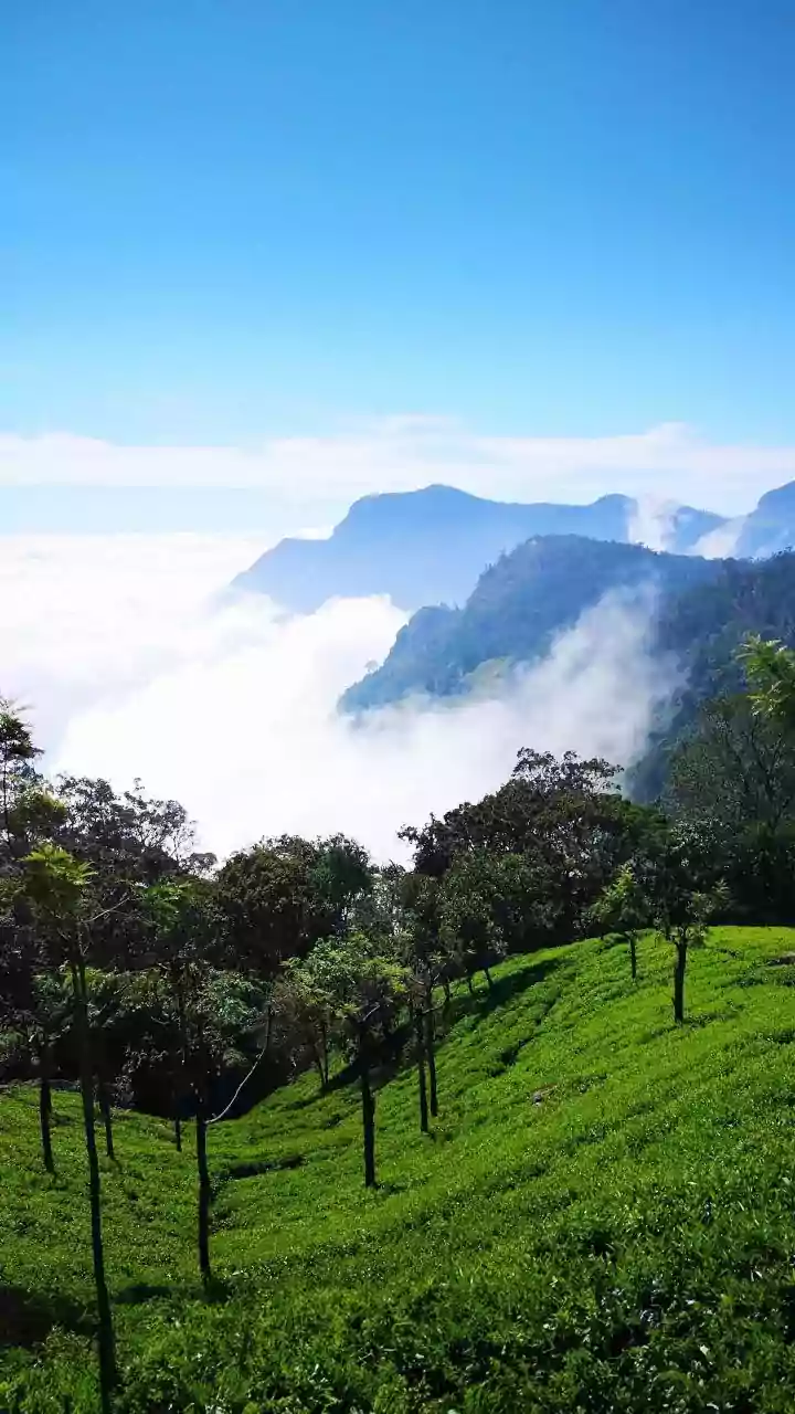 Discover South India's Undiscovered Mountain Retreats: Serene Escapes Await!