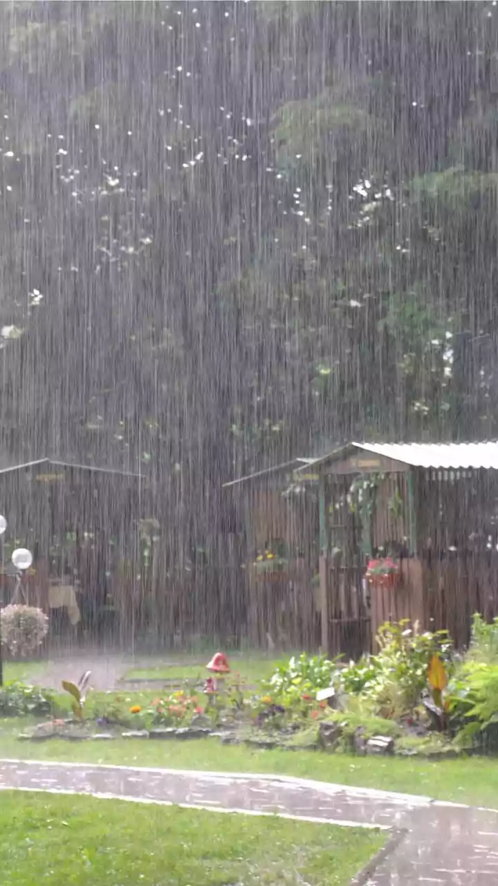 Understanding Monsoon Preparedness in India