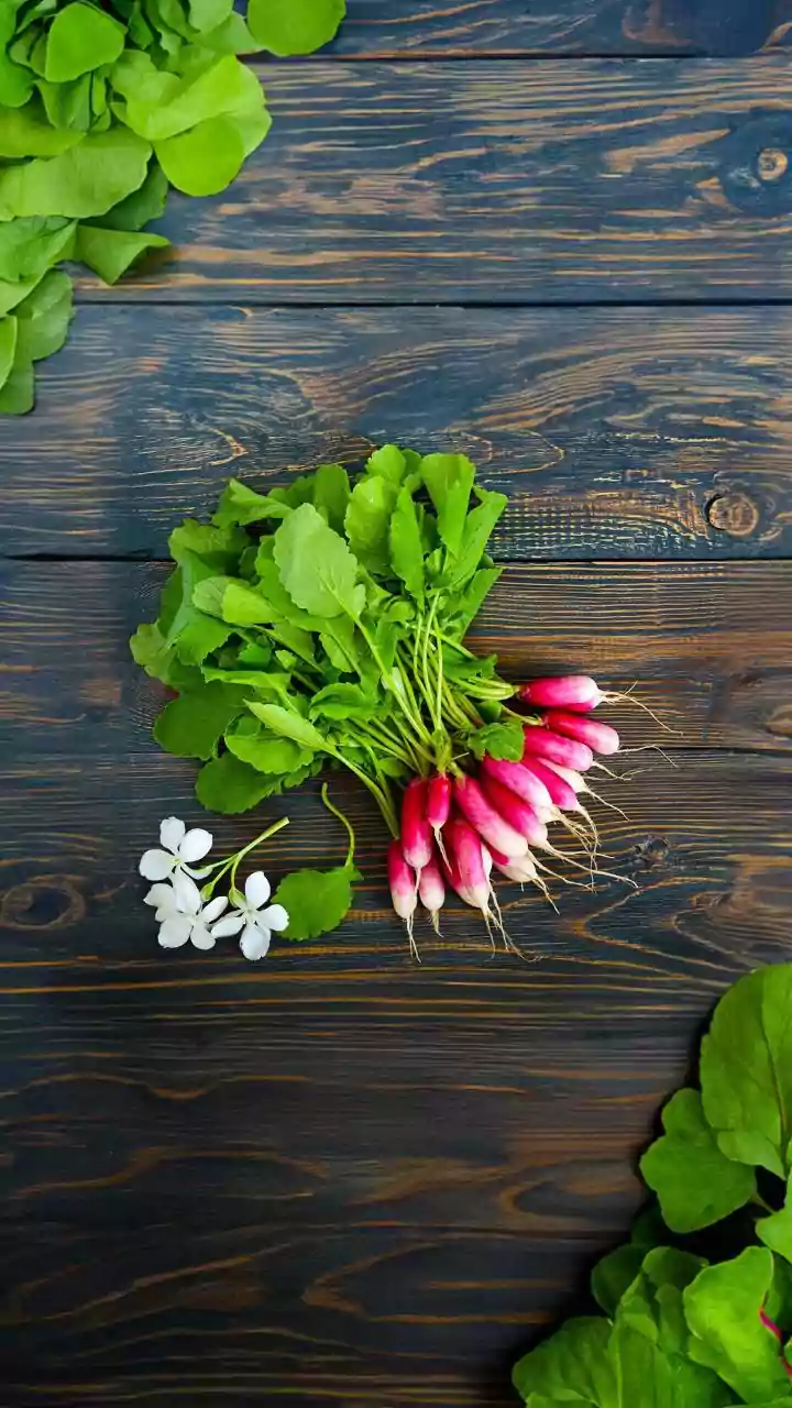 How to grow radish greens in water