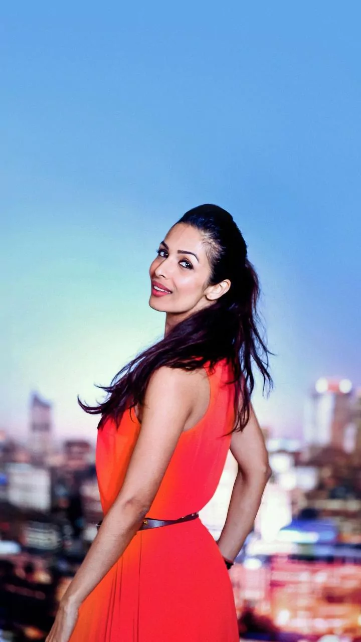 Malaika Arora's Journey After Arjun Kapoor Split