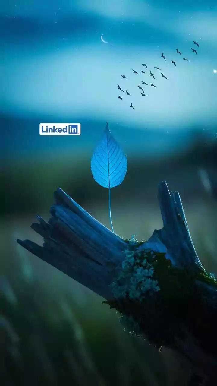 Losing good deals frequently? THIS is the reason!