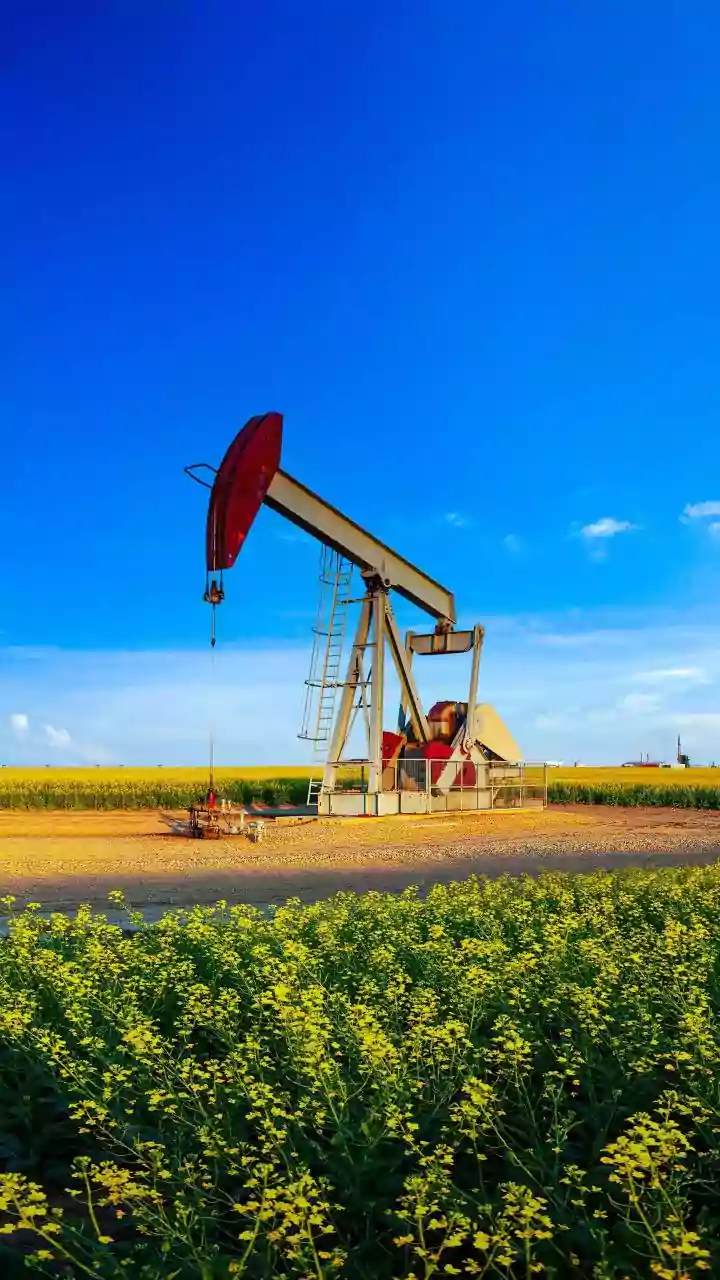 Oil Price Volatility Could Complicate Inflation Planning For Indian Businesses And Households