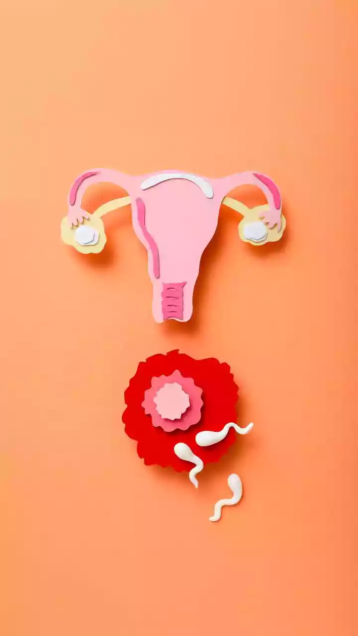 Como calcular o período fértil?