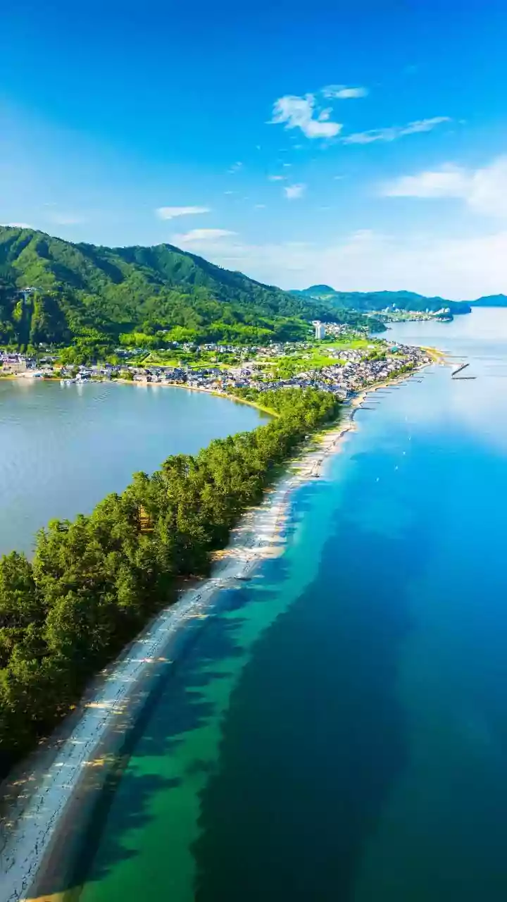How Community Mangrove Planting Projects Protect Coastal Infrastructure From Eastern Storm Surges