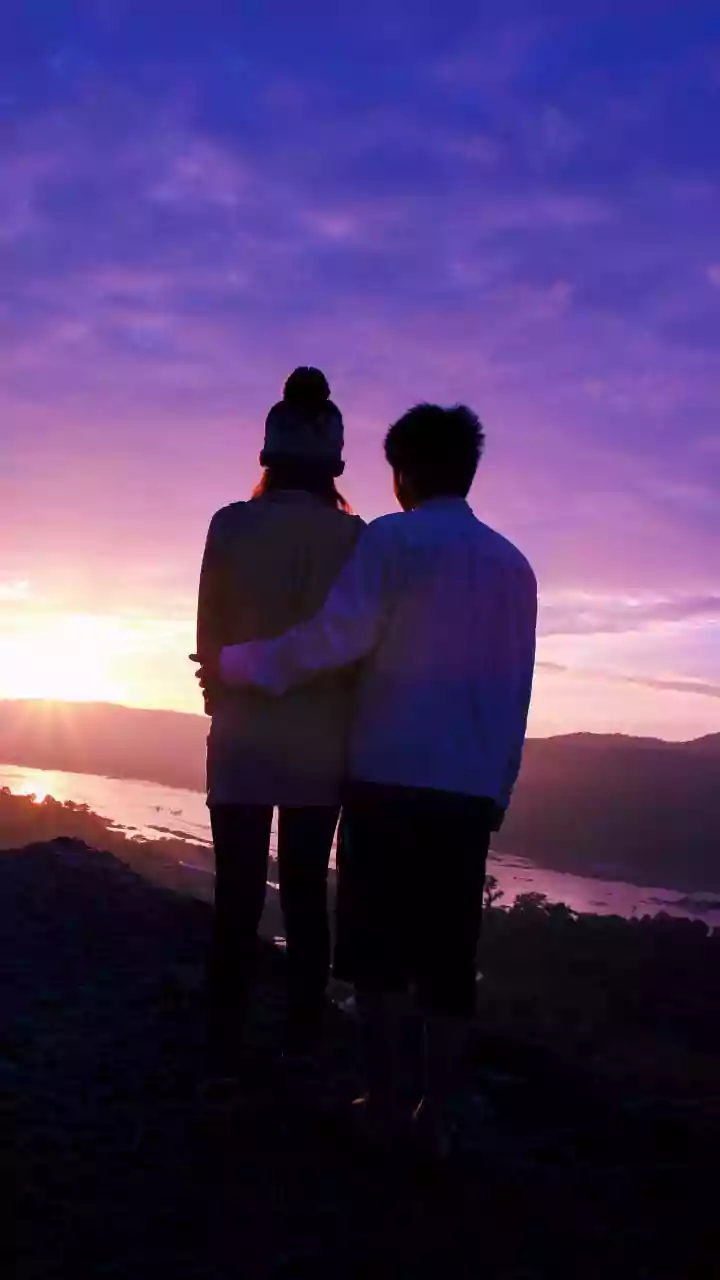 Quer um amor leve e sem dramas? Descubra como a lavanda atrai o relacionamento dos sonhos