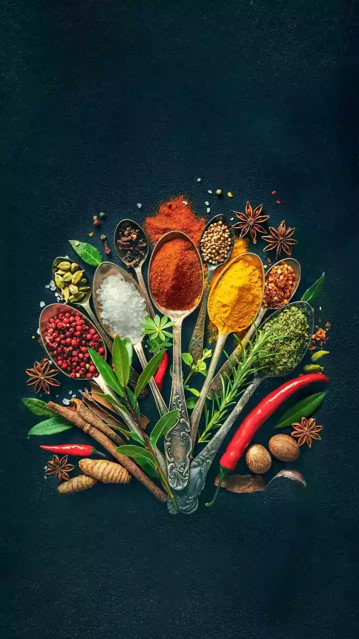 Exploring the Delicious World of Indian Cuisine: A Culinary Journey