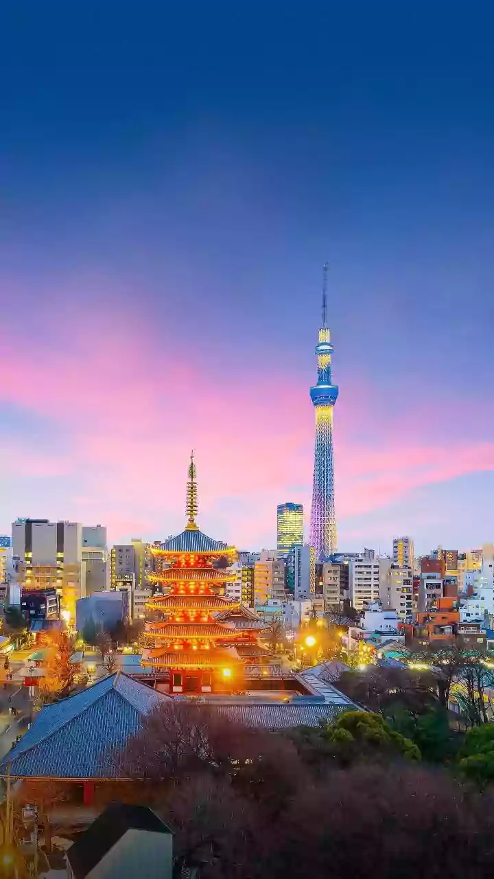 Japan's Second-Capital Law Explained and What India Can Learn