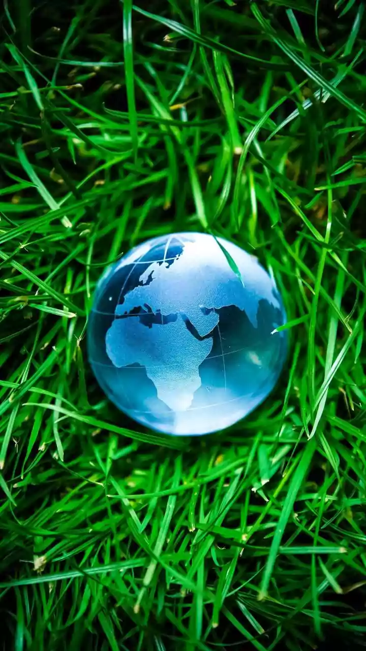 Offshore Mutual Funds Offer Access to Markets Beyond Indian Exchanges