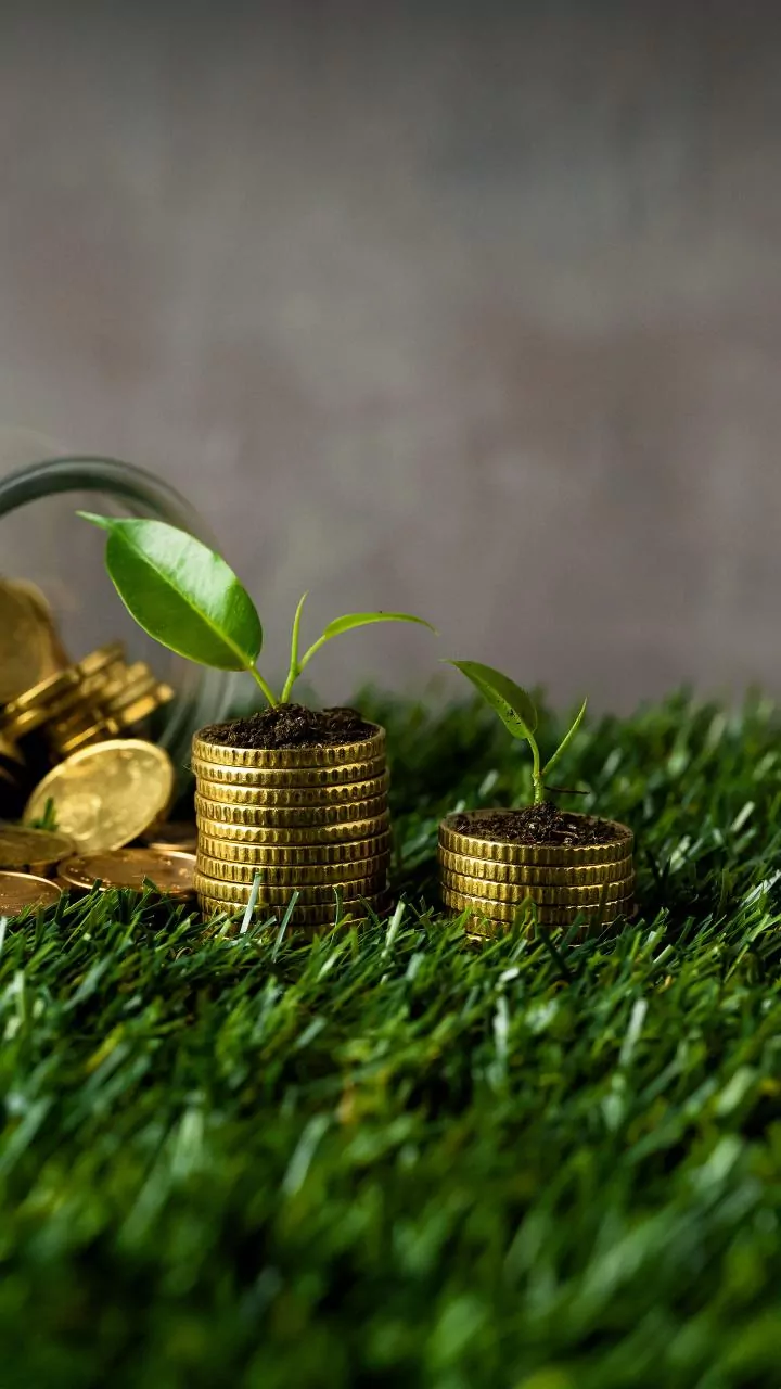 Long-Term Investments: Equity, Debt, Gold, and Real Estate Options Compared