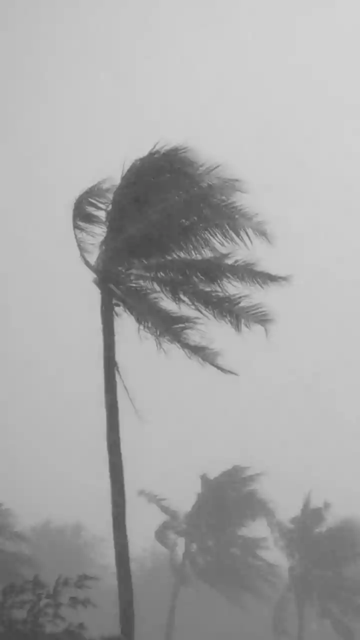 Understanding Cyclone Impacts on Health: Diarrheal Disease Risks