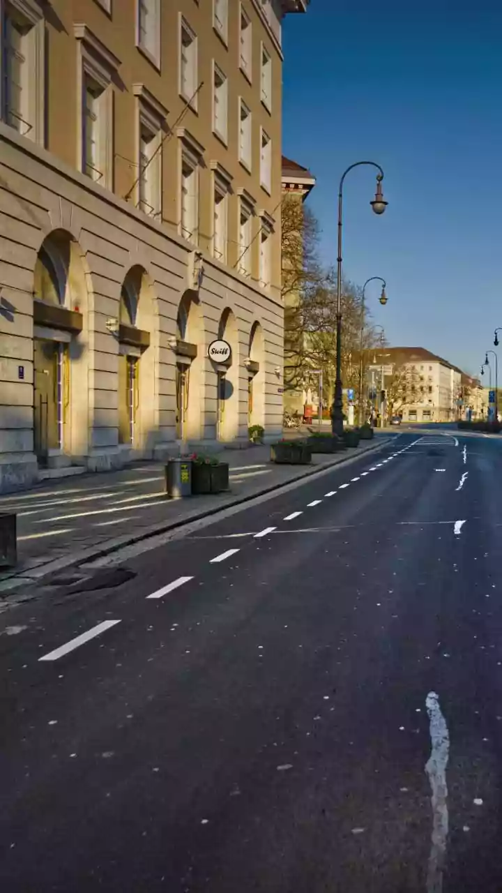 Five Indian Peacocks Arrive in Geneva Under a Carefully Planned Transfer