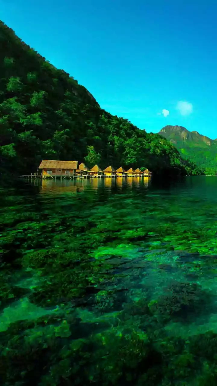 Kerala Tourism Is Moving Beyond Numbers Towards Better Local Impact