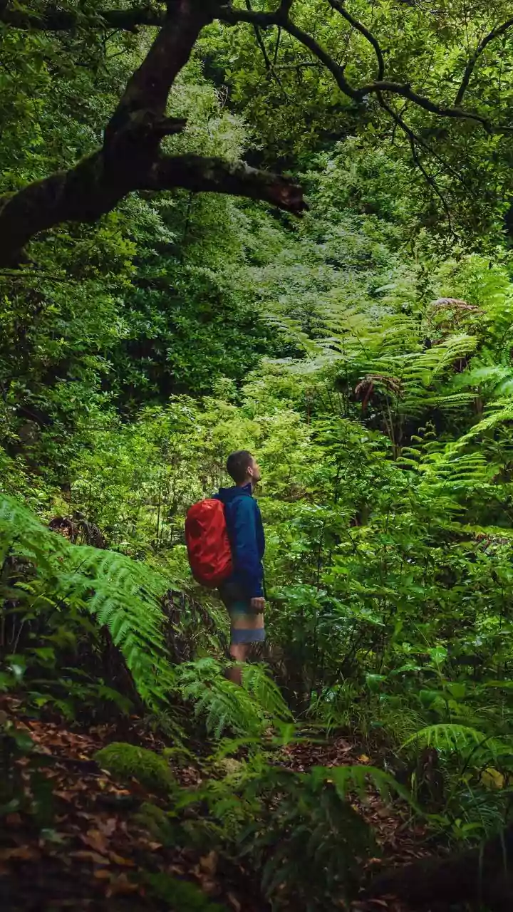 Adventure Lovers Can't Stop Climbing This Monsoon