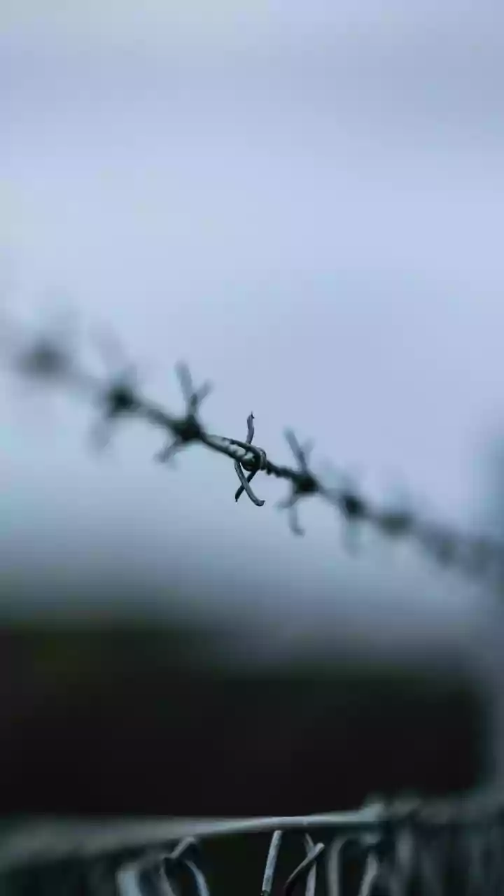 173 security personnel injured in Karbi Anglong violence: Assam Police