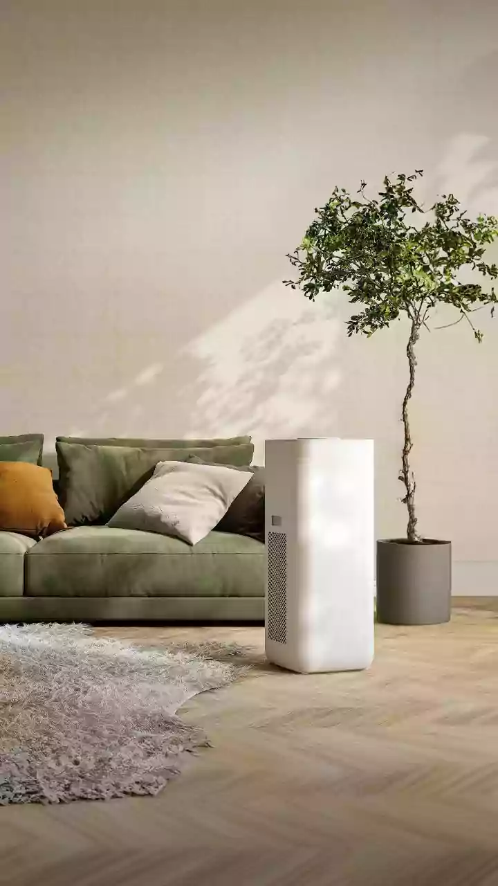 All-Year Air Purifiers: Your Guide to Clean Air