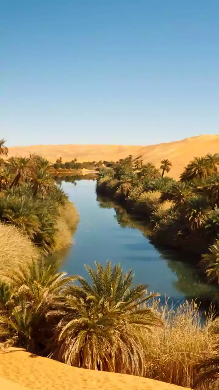 Senegal's most beautiful desert oases: A list