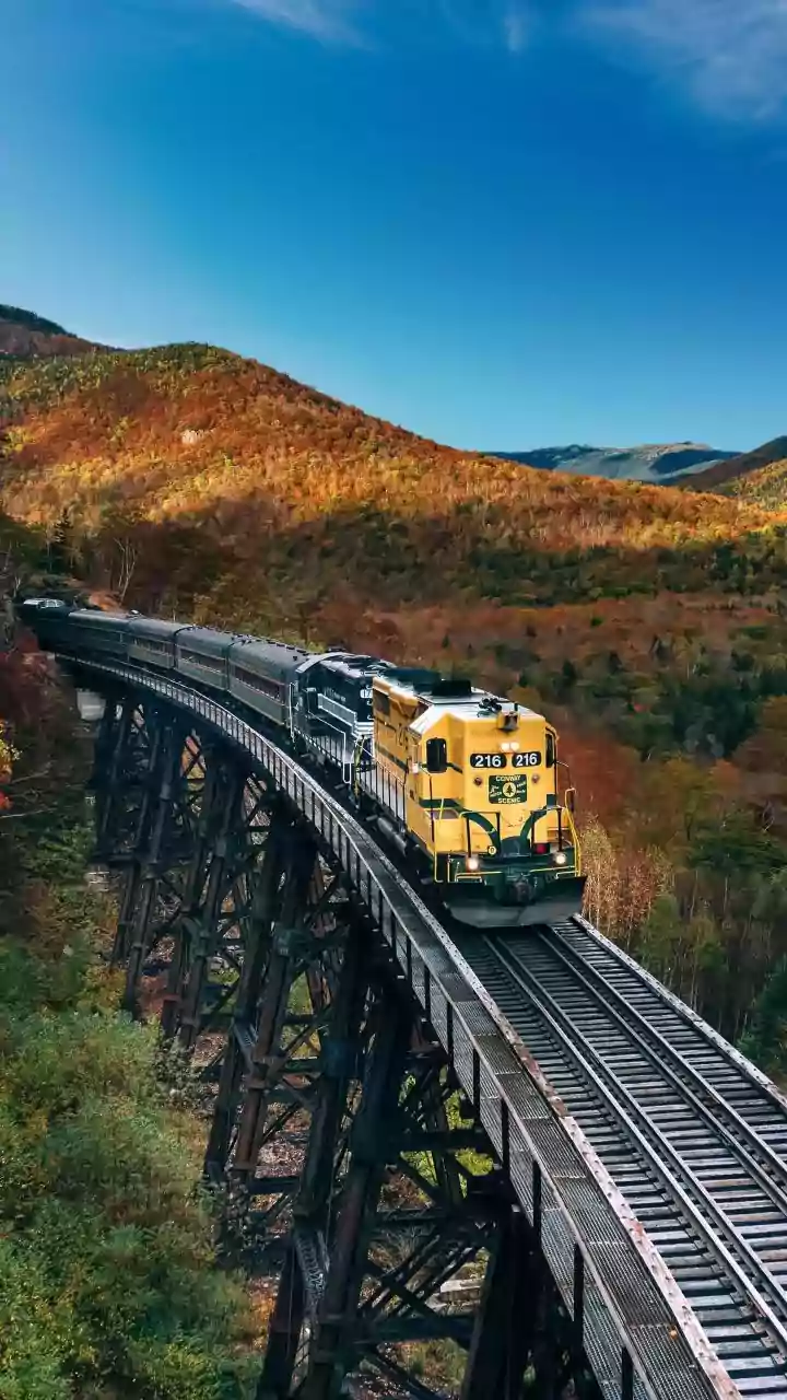 Por Que Fazer o Trem Curitiba-Morretes Agora