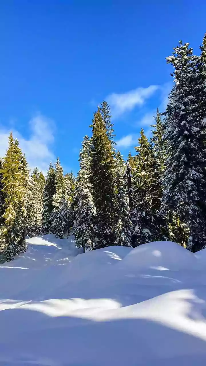 Heavy Snowfall Blankets High Altitude Regions