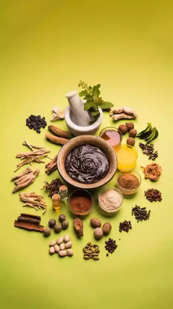 'Traditional Medicine Has Not Received Recognition It Deserves': PM Modi At WHO Summit