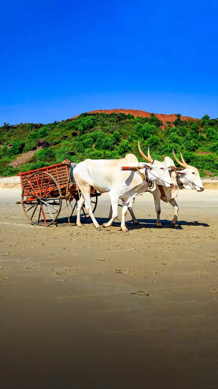 VB-G RAM G Act: A fresh push for rural jobs