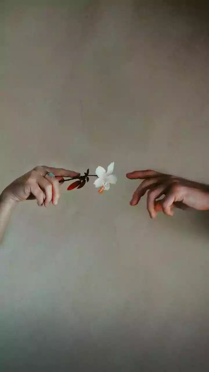 Decoding Relationships: Challenges & Insights