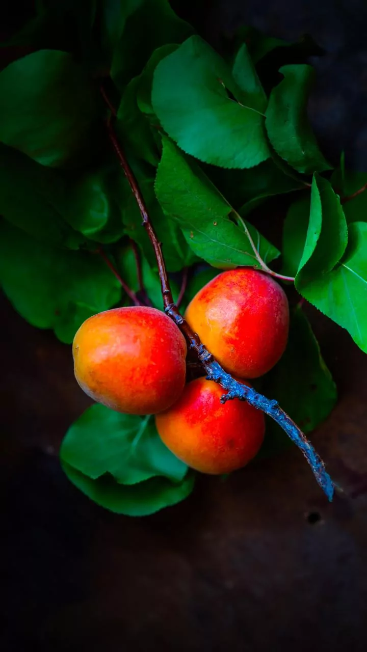 April sunlight changes everything—your photos look harsher due to higher contrast